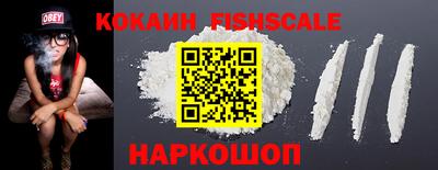 дмт Севастополь