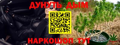 дмт Севастополь