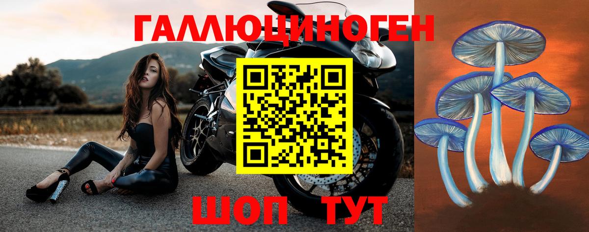 Нягань  Псилоцибиновые грибы Psilocybe  Вход с VPN 